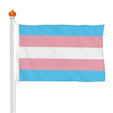 Transgender-Flagge