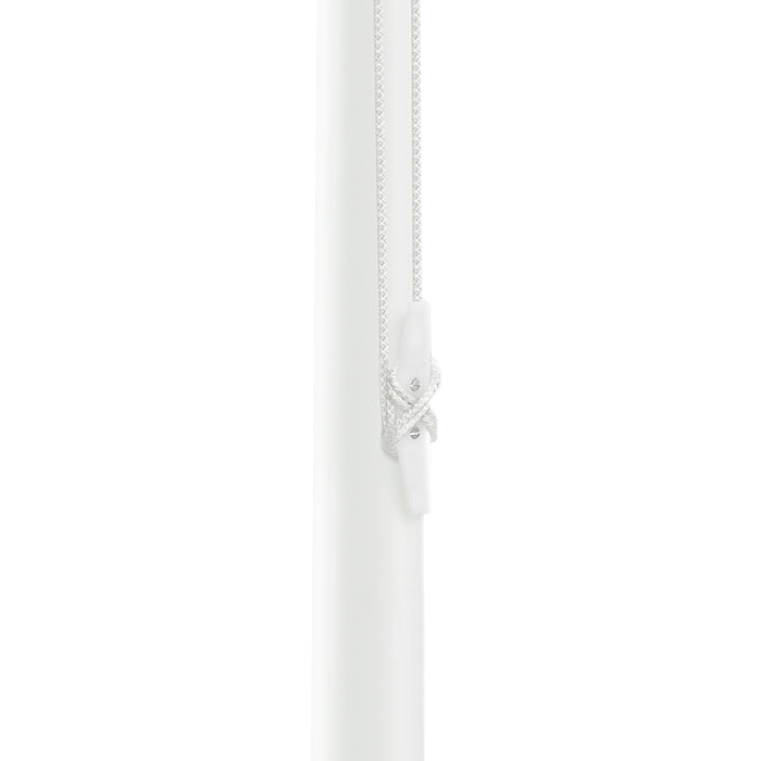 Fahnenmast-Frosch